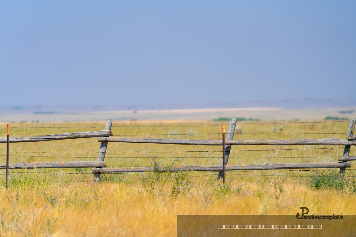 Smart-Gallery — 10