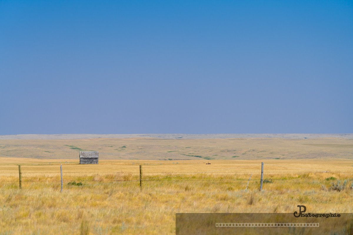 Smart-Gallery — 14